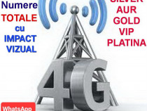 Numar.Numere Totale_Preferential.Aur.Pereche.Usor Retinut.Gold.Vip.Top