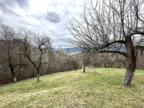 Teren de vânzare în Zărnești – 17.000 mp, intravila...