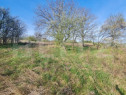 Teren partial intravilan, 4000 mp, Valea Chintaului